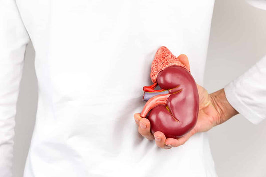 The Link Between Diabetes and Kidney Disease Test Strips And More